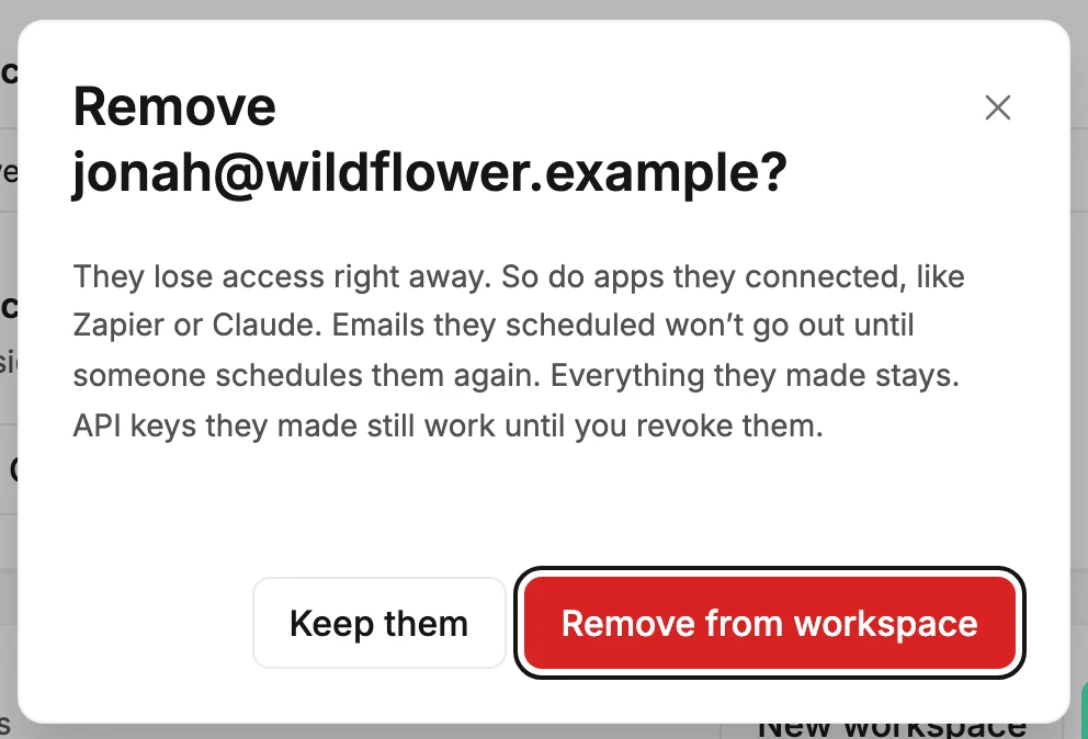 The Remove confirmation, naming the person's email address and what happens, with Remove from workspace ringed.