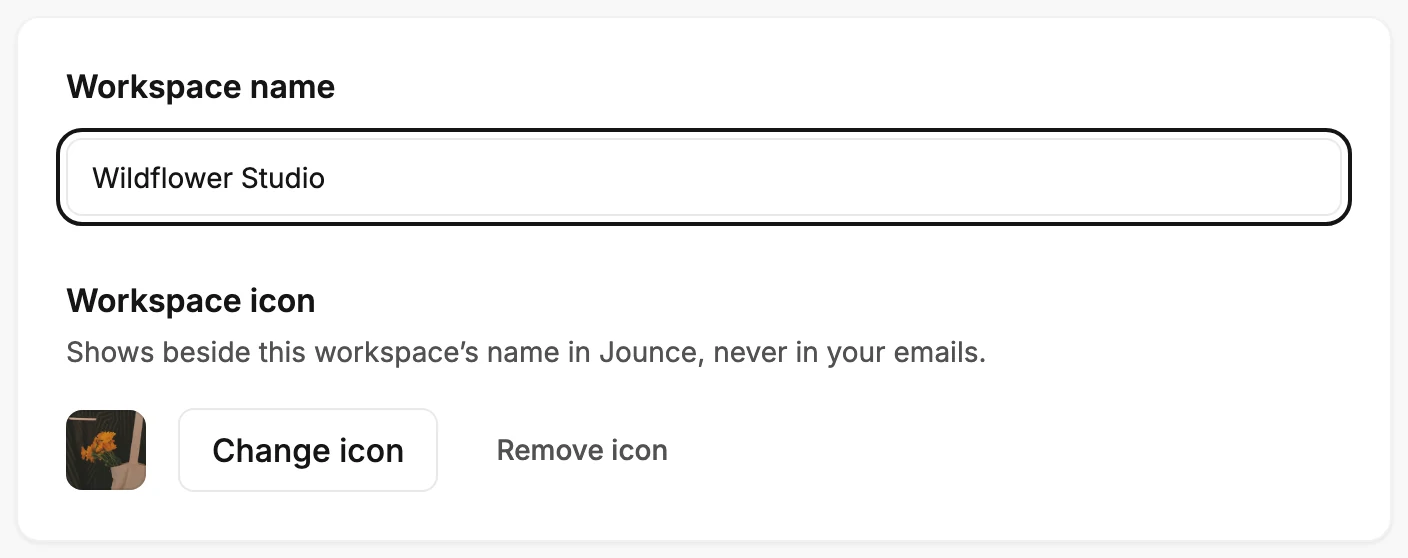 The first card on the Members page, with the Workspace name box ringed above the Workspace icon section.