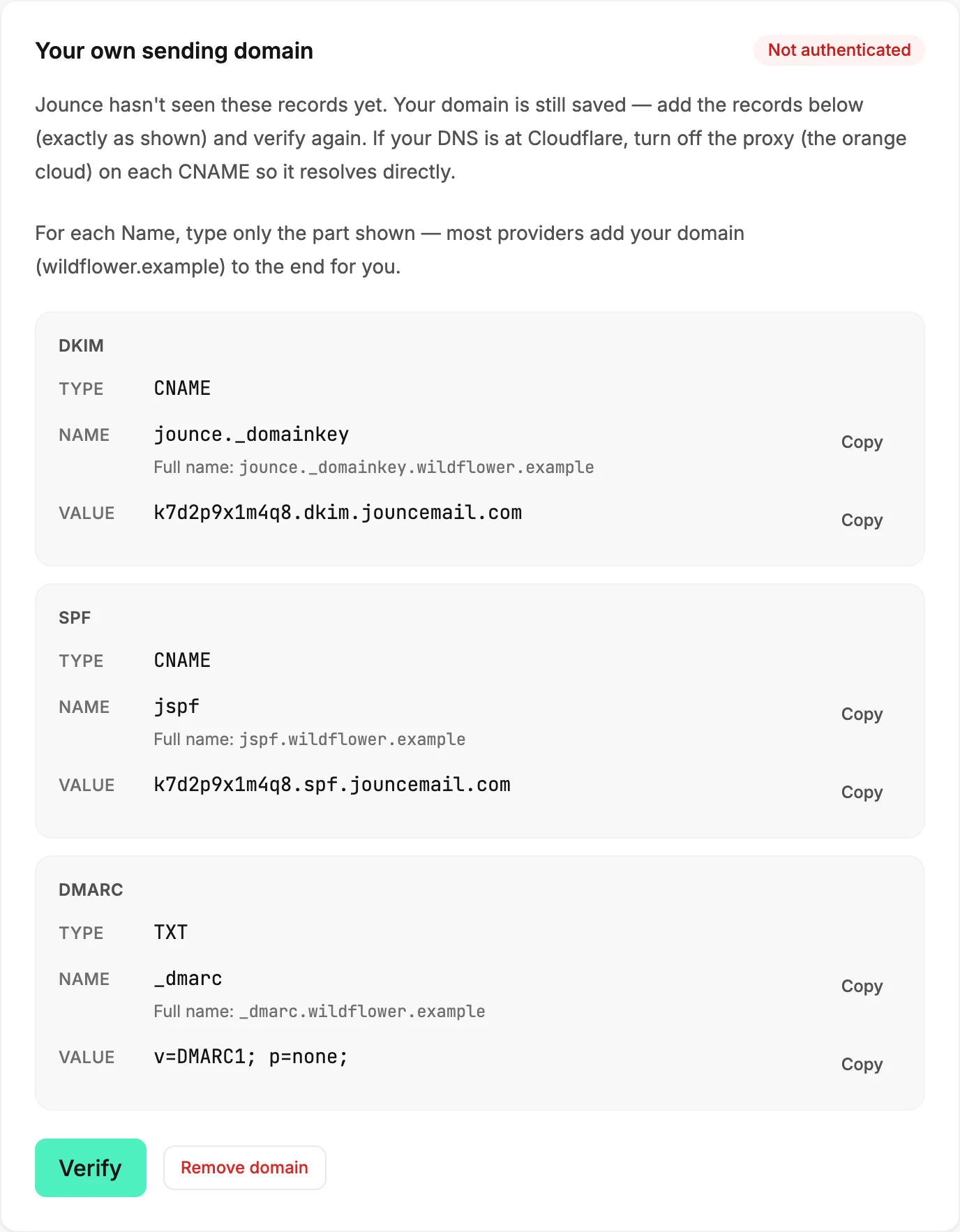 The Your own sending domain card marked Not authenticated, saying Jounce hasn't seen the records yet, with the records and the Verify button.